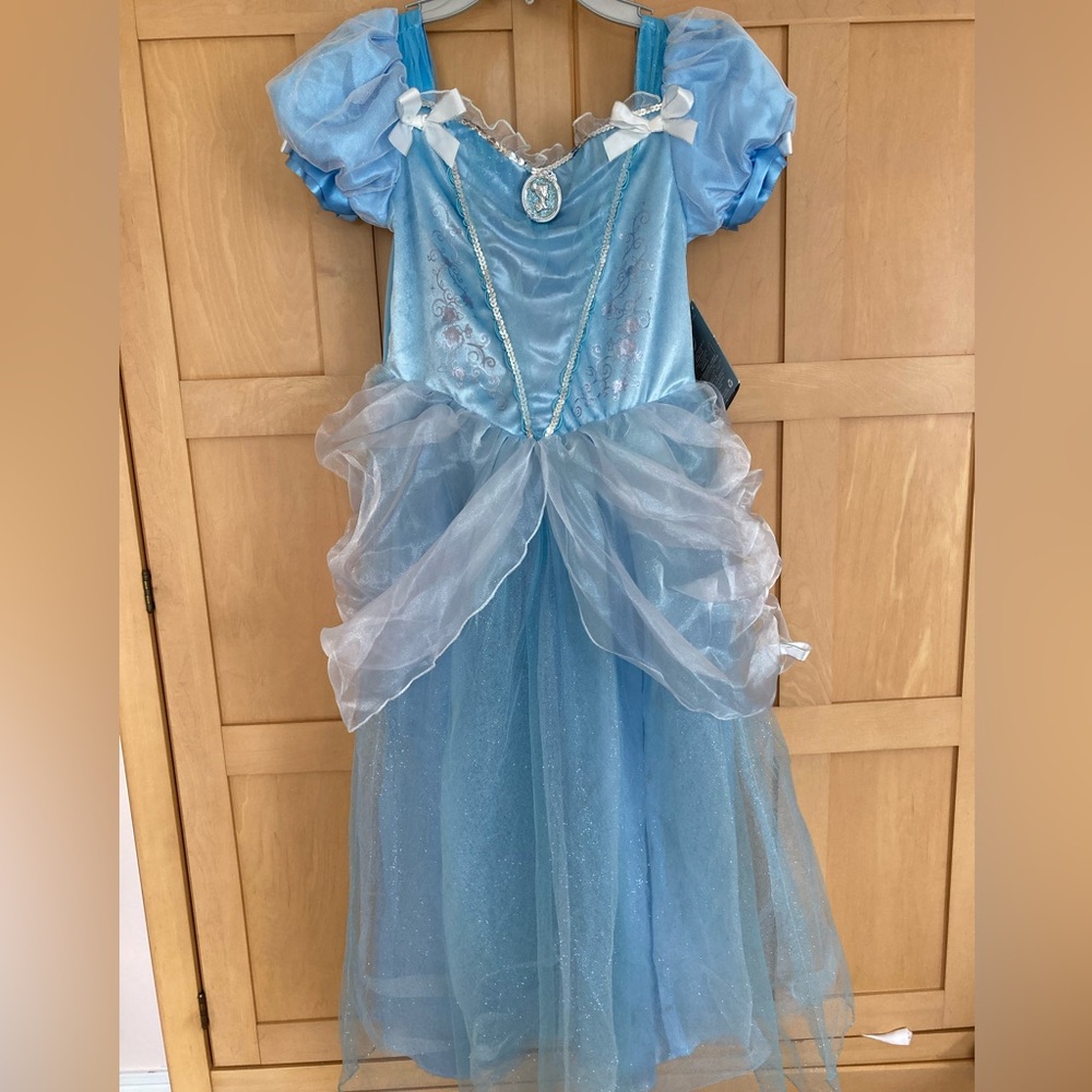 Cinderella Costume Dress